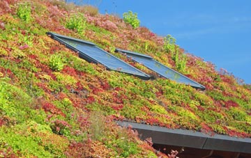 Tanners Green living roof systems